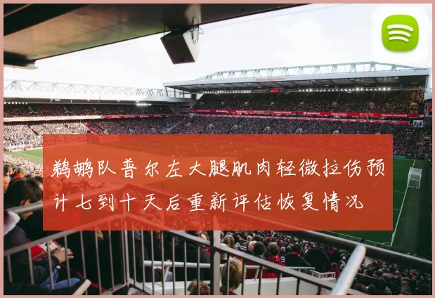 鹈鹕队普尔左大腿肌肉轻微拉伤预计七到十天后重新评估恢复情况